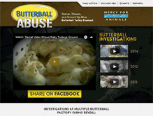 Tablet Screenshot of butterballabuse.com